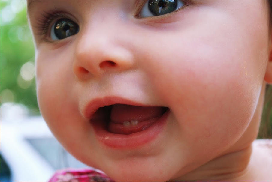 gallery toddlers photo